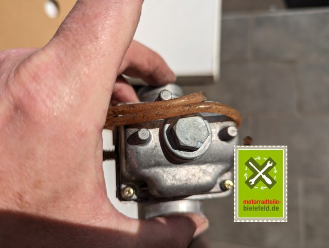 PXL_20240517_150506990